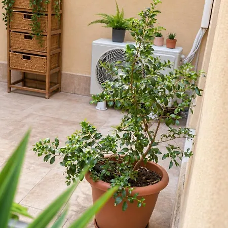 Apartament Isabella House